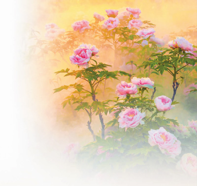 
沈阳医大一院黄牛代挂号电话票贩子号贩子网上预约挂号,住院检查加快,菏泽牡丹 走向世界（新时代 新画卷）