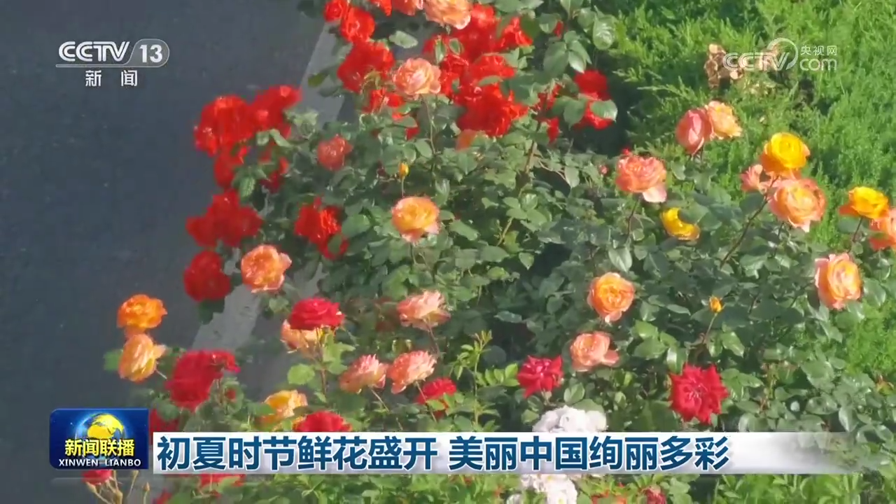 
上海儿童医学中心黄牛代挂号电话票贩子号贩子网上预约挂号,住院检查加快,初夏时节鲜花盛开 美丽中国绚丽多彩