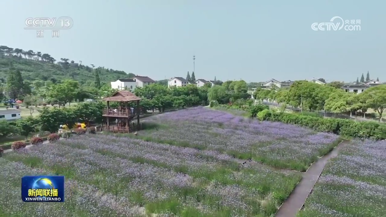 
上海儿童医学中心黄牛代挂号电话票贩子号贩子网上预约挂号,住院检查加快,初夏时节鲜花盛开 美丽中国绚丽多彩
