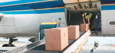 
沈阳医大一院黄牛代挂号电话票贩子号贩子网上预约挂号,住院检查加快,菏泽牡丹 走向世界（新时代 新画卷）