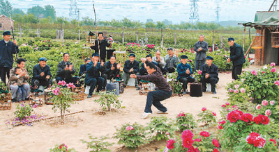 
沈阳医大一院黄牛代挂号电话票贩子号贩子网上预约挂号,住院检查加快,菏泽牡丹 走向世界（新时代 新画卷）