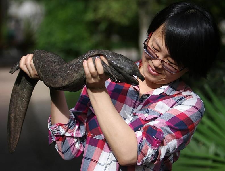 
浙江大学邵逸夫医院黄牛代挂号电话票贩子号贩子网上预约挂号,住院检查加快,车静：做科研“为伊消得人憔悴”