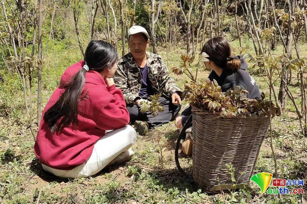 
杭州市第一人民医院黄牛代挂号电话票贩子号贩子网上预约挂号,住院检查加快,青年有为|探访乡亲们口中的“香椿公主”