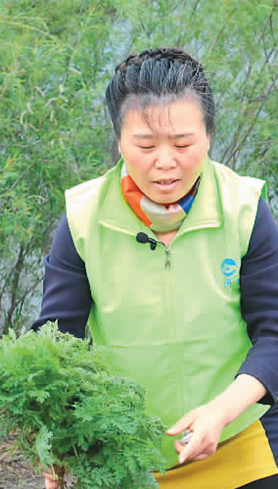 
东直门医院黄牛代挂号电话票贩子号贩子网上预约挂号,住院检查加快,文明节俭，从我做起