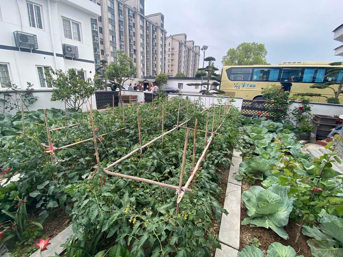
长春吉大二院黄牛代挂号电话票贩子号贩子网上预约挂号,住院检查加快,【中国有约】好环境带来好收入：宁波奉化滕头村在绿色生态发展之路上收获满满幸福感