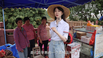 
长沙湘雅医院黄牛代挂号电话票贩子号贩子网上预约挂号,住院检查加快,张扬Vlog｜1300岁的荔枝树，唐朝人吃的也是这种味道吗？