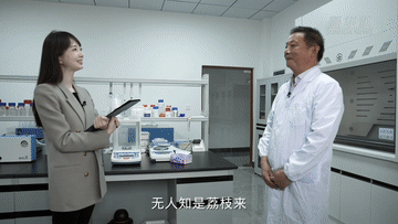 
长沙湘雅医院黄牛代挂号电话票贩子号贩子网上预约挂号,住院检查加快,张扬Vlog｜1300岁的荔枝树，唐朝人吃的也是这种味道吗？