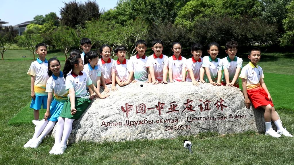 
浙江第二医院黄牛代挂号电话票贩子号贩子网上预约挂号,住院检查加快,中国－中亚峰会｜Vlog：待到亭亭如盖时