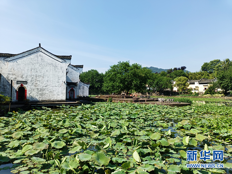 
杭州市妇幼保健院黄牛代挂号电话票贩子号贩子网上预约挂号,住院检查加快,中国式现代化的长三角实践丨安徽黄山：生态“高颜值”淬炼发展“好气质”