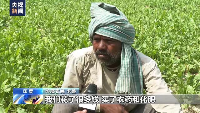 
空军特色医学中心黄牛代挂号电话票贩子号贩子网上预约挂号,住院检查加快,印度多地持续高温 农业生产受到影响