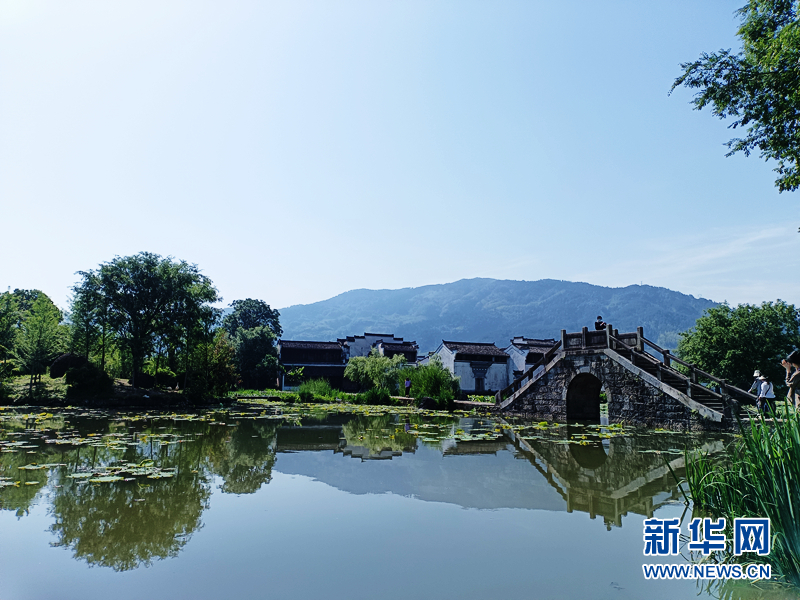 
杭州市妇幼保健院黄牛代挂号电话票贩子号贩子网上预约挂号,住院检查加快,中国式现代化的长三角实践丨安徽黄山：生态“高颜值”淬炼发展“好气质”