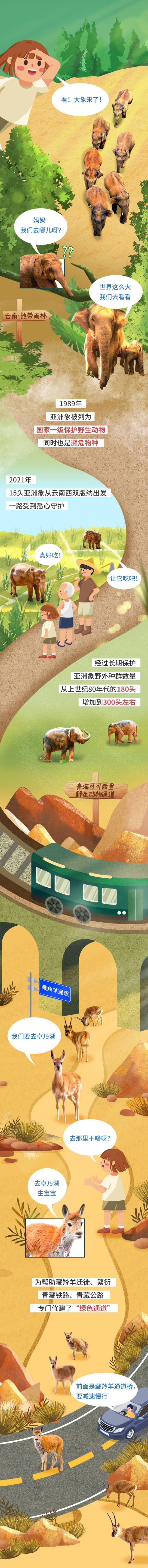 
上海瑞金医院黄牛代挂号电话票贩子号贩子网上预约挂号,住院检查加快,注意！前方有神奇生物出没