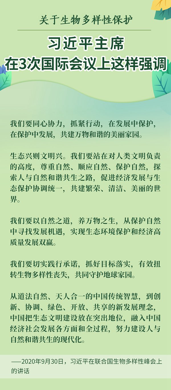 
江苏省中医院黄牛代挂号电话票贩子号贩子网上预约挂号,住院检查加快,关于生物多样性保护，习近平主席在3次国际会议上这样强调