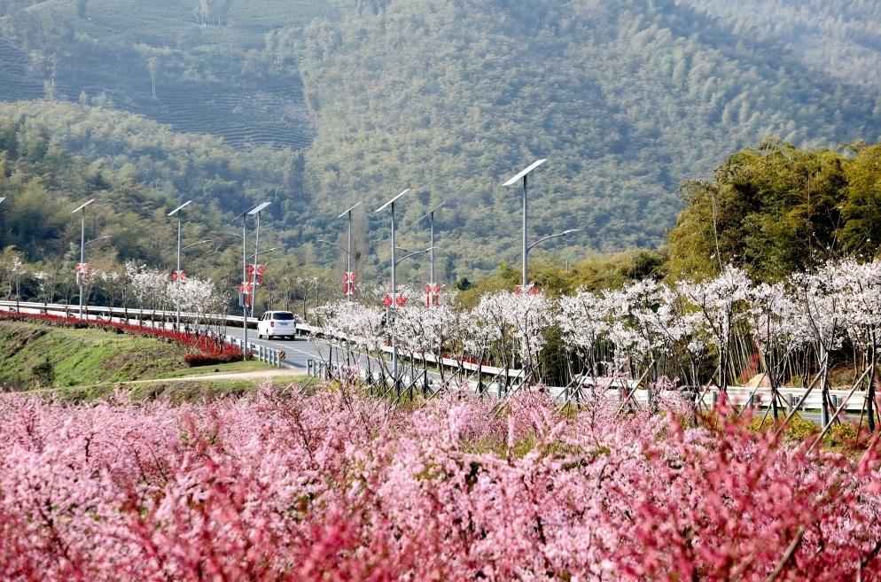 
长沙各大医院黄牛代挂号电话票贩子号贩子网上预约挂号,住院检查加快,在妙山村，瞥见未来乡村美妙模样|高质量发展调研行·浙江站