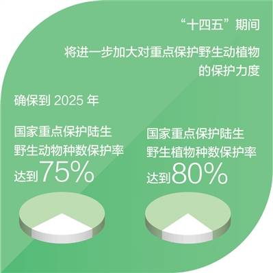 
中山大学肿瘤医院黄牛代挂号电话票贩子号贩子网上预约挂号,住院检查加快,7年发现600个新物种（一线调研）