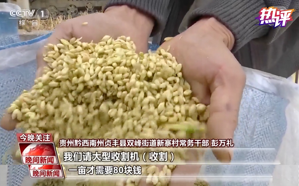 
北京世纪坛医院黄牛代挂号电话票贩子号贩子网上预约挂号,住院检查加快,风吹麦浪时 从“增”“减”中看夏收