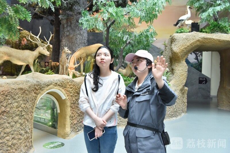 
代挂姜玉武的号黄牛代挂号电话票贩子号贩子网上预约挂号,住院检查加快,行走江苏湿地城市｜ 从“濒危鹿”到“社会鹿”，大丰麋鹿国家级自然保护区交出亮眼“生态答卷”！