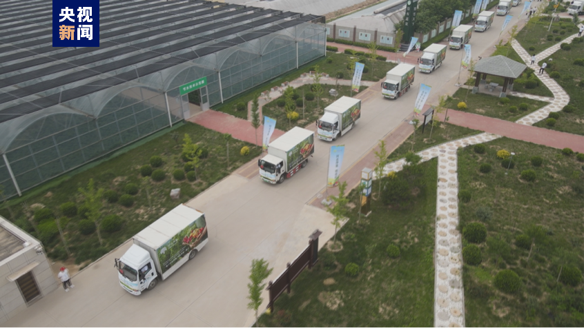 
中山大学中山眼科中心黄牛代挂号电话票贩子号贩子网上预约挂号,住院检查加快,上菜喽！ 首批“河北净菜”直通车到达北京市场