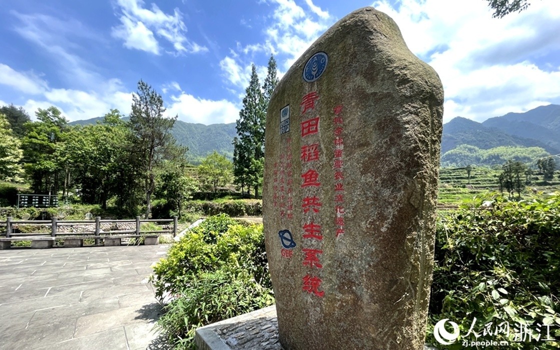 
广州各大医院黄牛代挂号电话票贩子号贩子网上预约挂号,住院检查加快,浙江青田：千年农韵谱出共富新曲丨高质量发展调研行·浙江站