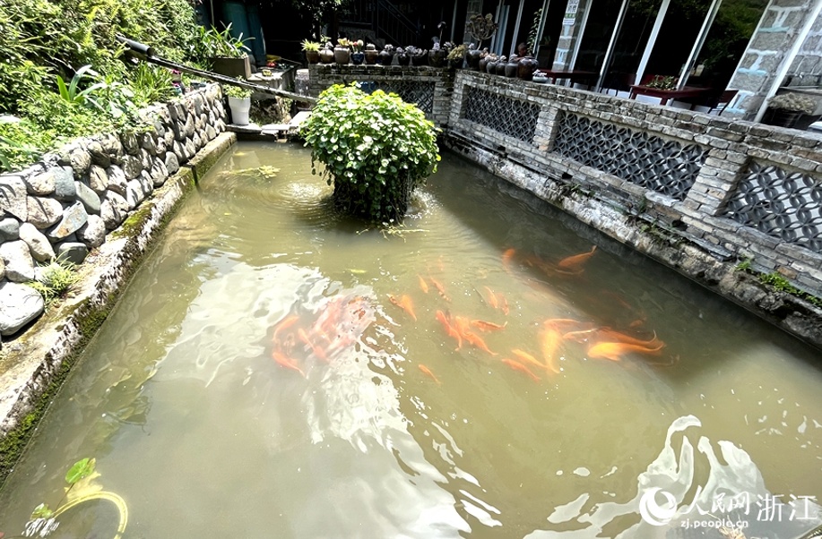 
广州各大医院黄牛代挂号电话票贩子号贩子网上预约挂号,住院检查加快,浙江青田：千年农韵谱出共富新曲丨高质量发展调研行·浙江站