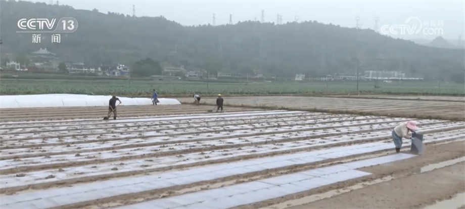 
北京大学第六医院黄牛代挂号电话票贩子号贩子网上预约挂号,住院检查加快,中稻育秧全面铺开 新技术新品种促进粮食增产增收