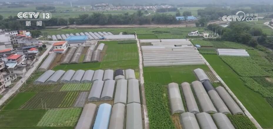 
上海第十人民医院黄牛代挂号电话票贩子号贩子网上预约挂号,住院检查加快,“合作社+基地+农户”发展蔬菜产业 丰富“菜篮子”充实“钱袋子”