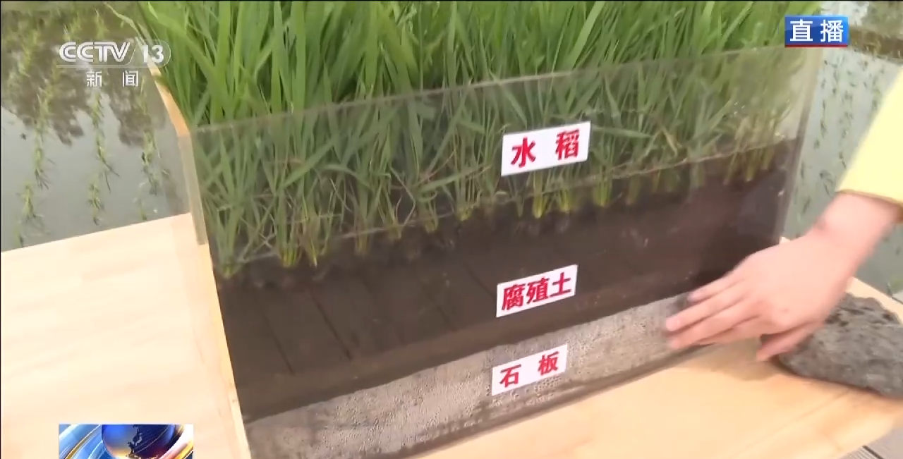 
广州市妇女儿童医疗中心黄牛代挂号电话票贩子号贩子网上预约挂号,住院检查加快,小麦待收+鲜果上市 各地夏收夏种夏管火热进行中