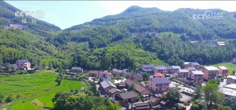 
长春吉大一院黄牛代挂号电话票贩子号贩子网上预约挂号,住院检查加快,青春匠心 | 精耕农旅融合 迎来乡村“蝶变”