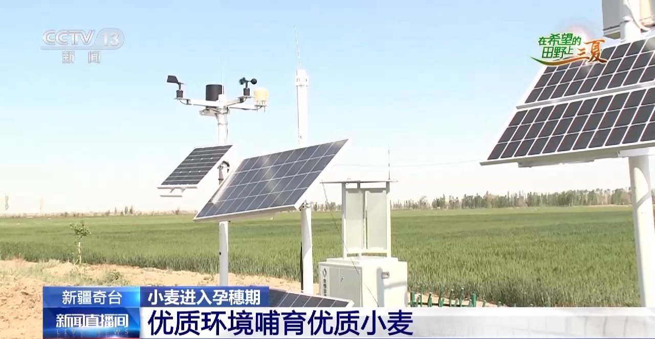
广州市妇女儿童医疗中心黄牛代挂号电话票贩子号贩子网上预约挂号,住院检查加快,小麦待收+鲜果上市 各地夏收夏种夏管火热进行中