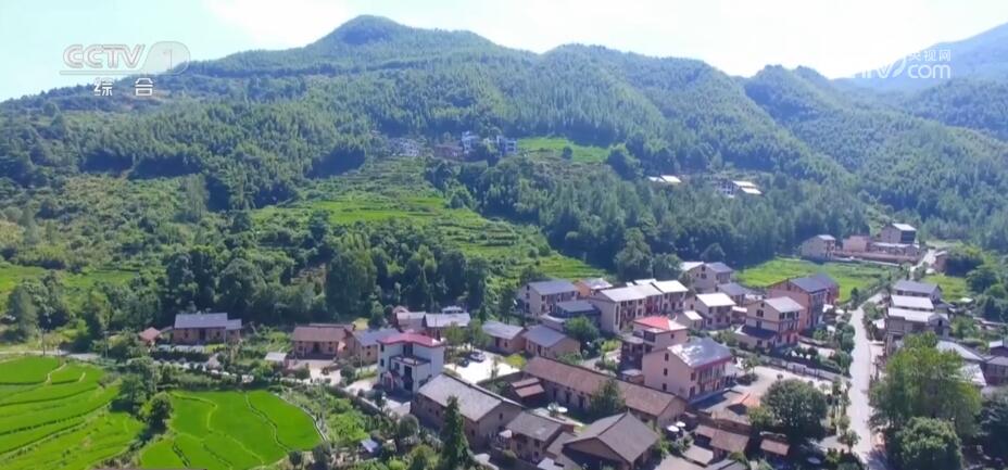 
长春吉大一院黄牛代挂号电话票贩子号贩子网上预约挂号,住院检查加快,青春匠心 | 精耕农旅融合 迎来乡村“蝶变”