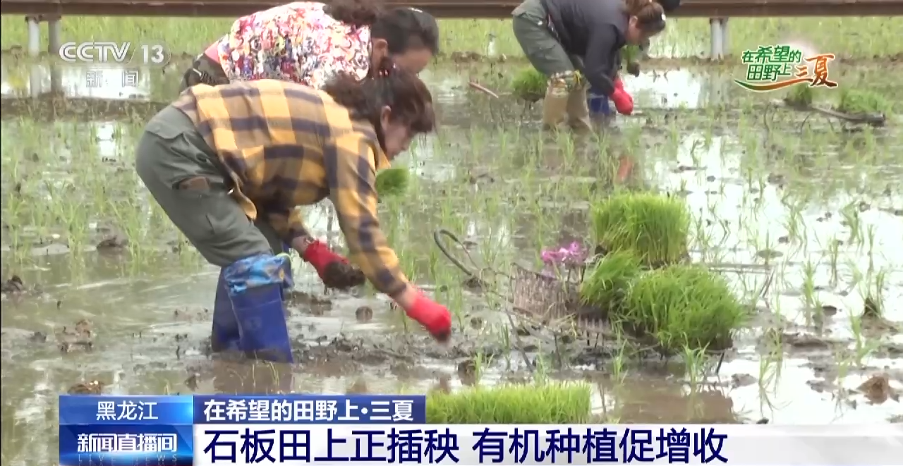 
广州市妇女儿童医疗中心黄牛代挂号电话票贩子号贩子网上预约挂号,住院检查加快,小麦待收+鲜果上市 各地夏收夏种夏管火热进行中