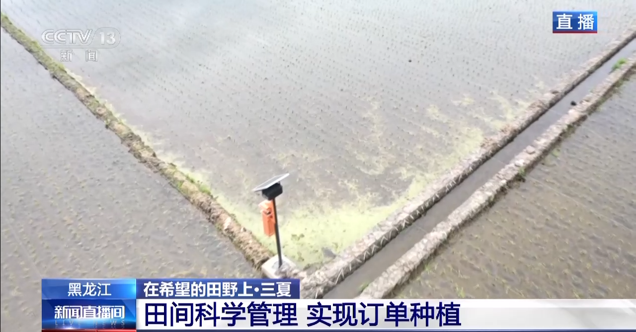
广州市妇女儿童医疗中心黄牛代挂号电话票贩子号贩子网上预约挂号,住院检查加快,小麦待收+鲜果上市 各地夏收夏种夏管火热进行中