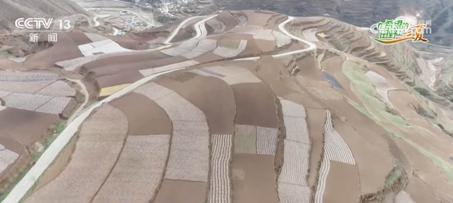 
广州市第一人民医院黄牛代挂号电话票贩子号贩子网上预约挂号,住院检查加快,65万亩中药材种苗栽种正进行 药材远销20多个国家和地区