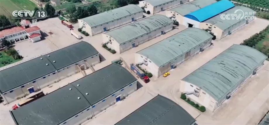 
上海瑞金医院黄牛代挂号电话票贩子号贩子网上预约挂号,住院检查加快,生产储存环节节约减损+树立合理粮食消费观 我国多措并举节约粮食