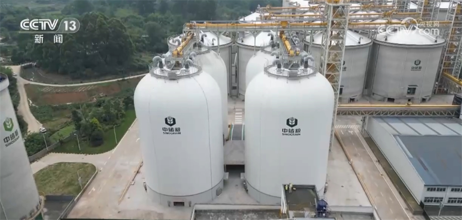 
上海瑞金医院黄牛代挂号电话票贩子号贩子网上预约挂号,住院检查加快,生产储存环节节约减损+树立合理粮食消费观 我国多措并举节约粮食