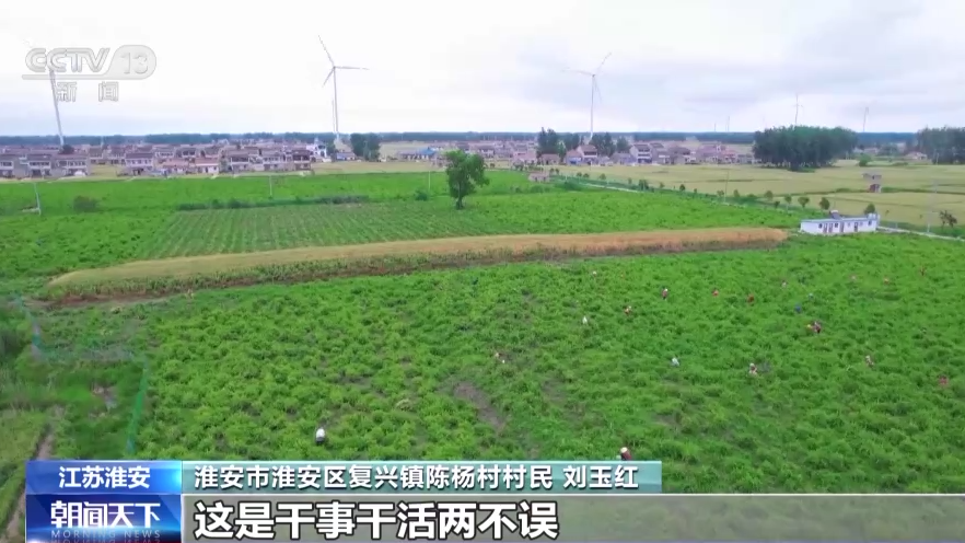 
上海肺科医院黄牛代挂号电话票贩子号贩子网上预约挂号,住院检查加快,春争日夏争时 夏收时间到！来看小麦、马铃薯、金银花丰收现场