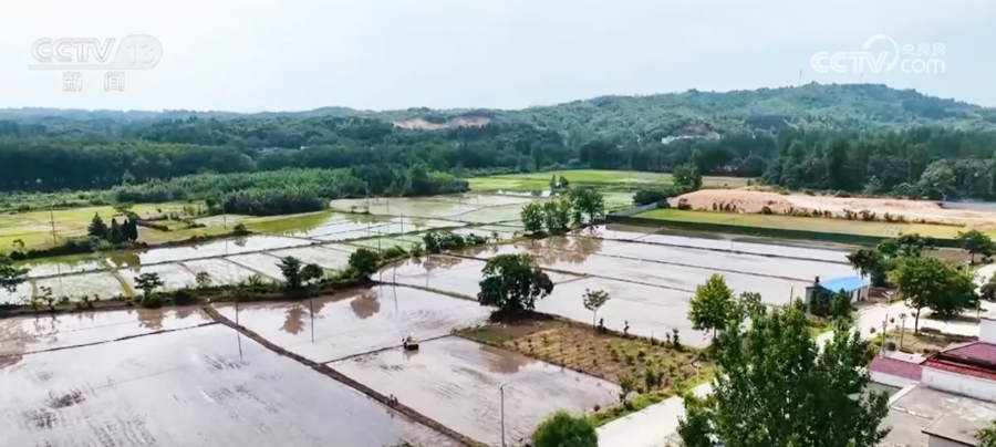 
北京八大处整形医院黄牛代挂号电话票贩子号贩子网上预约挂号,住院检查加快,大别山下生机盎然 百万亩稻田陆续进入插秧季