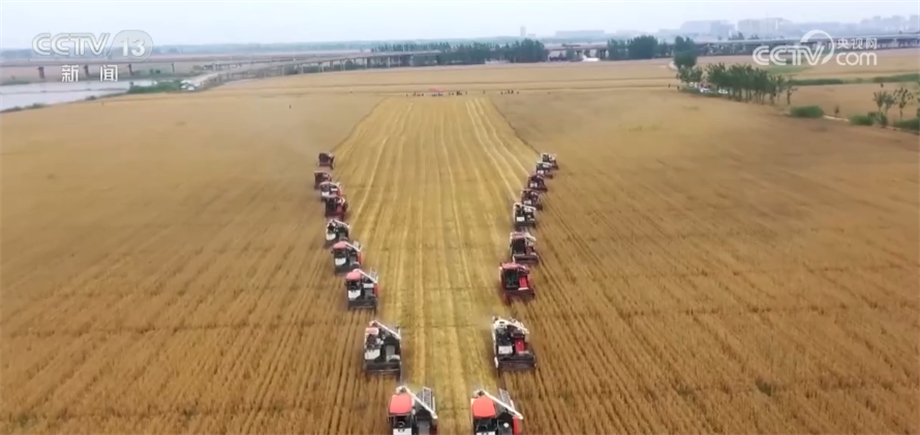 
上海瑞金医院黄牛代挂号电话票贩子号贩子网上预约挂号,住院检查加快,生产储存环节节约减损+树立合理粮食消费观 我国多措并举节约粮食