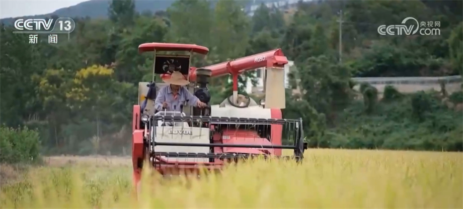 
上海瑞金医院黄牛代挂号电话票贩子号贩子网上预约挂号,住院检查加快,生产储存环节节约减损+树立合理粮食消费观 我国多措并举节约粮食
