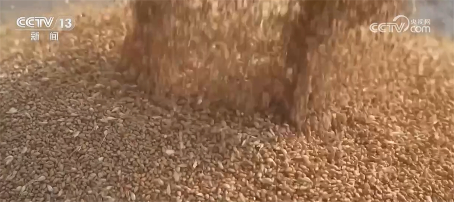 
上海瑞金医院黄牛代挂号电话票贩子号贩子网上预约挂号,住院检查加快,生产储存环节节约减损+树立合理粮食消费观 我国多措并举节约粮食