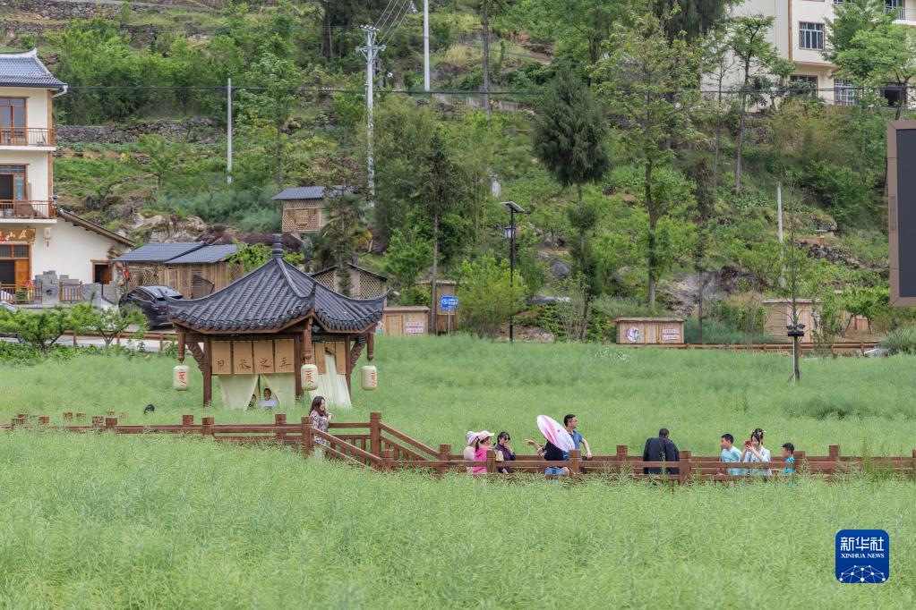 
中山大学附属第三医院黄牛代挂号电话票贩子号贩子网上预约挂号,住院检查加快,“五一”假期看文旅市场活力