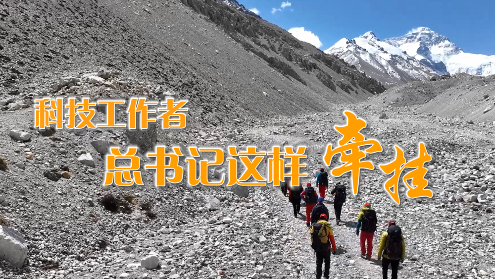 
上海新华医院黄牛代挂号电话票贩子号贩子网上预约挂号,住院检查加快,微视频｜科技工作者，总书记这样牵挂