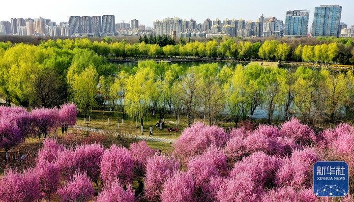 
北京大学第六医院黄牛代挂号电话票贩子号贩子网上预约挂号,住院检查加快,天空之眼瞰古都西安