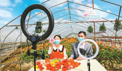 
北京大学第六医院黄牛代挂号电话票贩子号贩子网上预约挂号,住院检查加快,“鲜花经济”别样红（网上中国）
