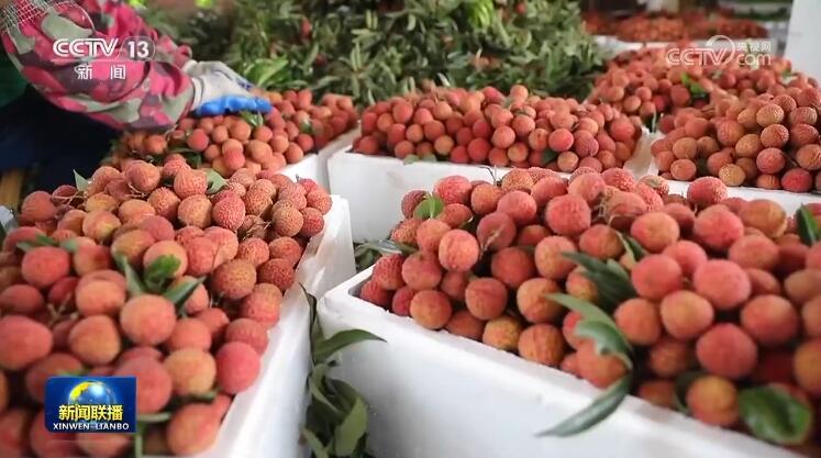 
西安市儿童医院黄牛代挂号电话票贩子号贩子网上预约挂号,住院检查加快,今年以来全国快递业务量突破400亿件