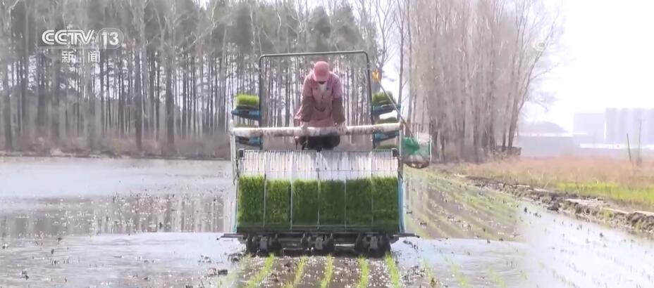 
广州市妇女儿童医疗中心黄牛代挂号电话票贩子号贩子网上预约挂号,住院检查加快,全国春播粮食3.8亿亩 各地全力以赴保证播种质量
