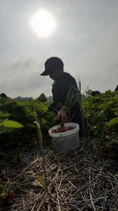 
杭州市儿童医院黄牛代挂号电话票贩子号贩子网上预约挂号,住院检查加快,纵论天下|资本压榨，政府推诿——美国童工问题愈演愈烈