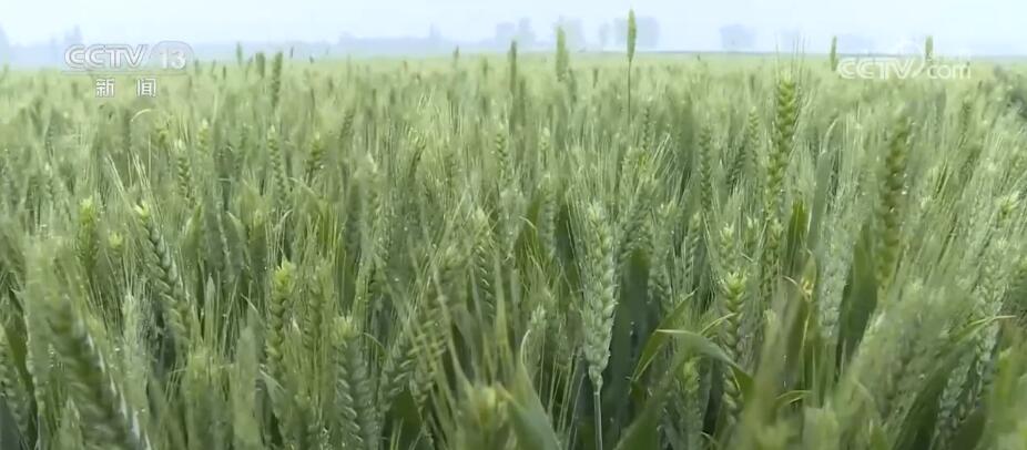 
广州市妇女儿童医疗中心黄牛代挂号电话票贩子号贩子网上预约挂号,住院检查加快,全国春播粮食3.8亿亩 各地全力以赴保证播种质量