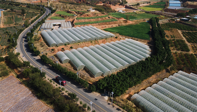 浙江中医药第二医院黄牛代挂号电话票贩子号贩子网上预约挂号,住院检查加快,持续打响“元谋种子”品牌