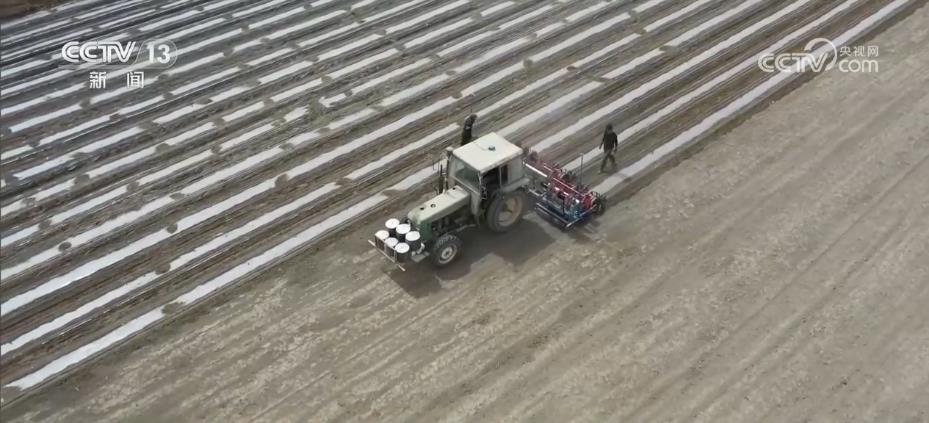 
浙江第二医院黄牛代挂号电话票贩子号贩子网上预约挂号,住院检查加快,“规模化经营+科技赋能” 推动棉花生产高质量发展